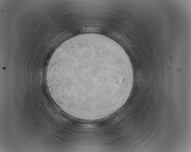 X0000084010741200703161713