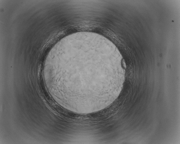 X0000084010742200703161713