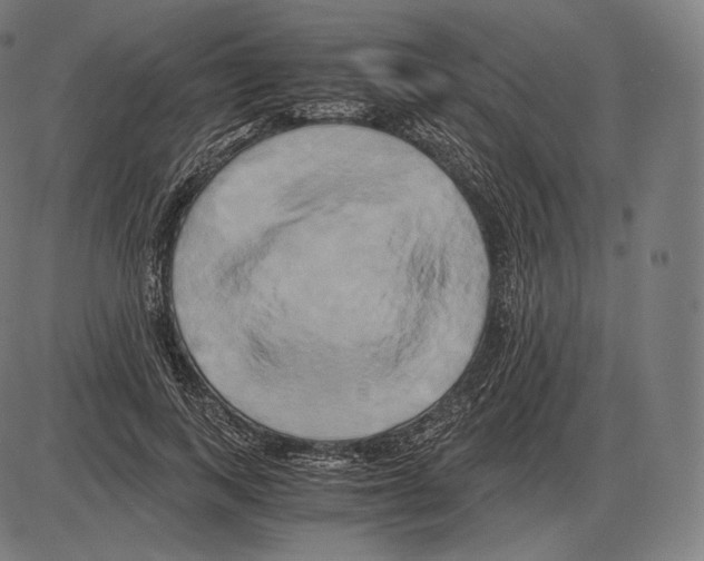 X0000084010743200703161713