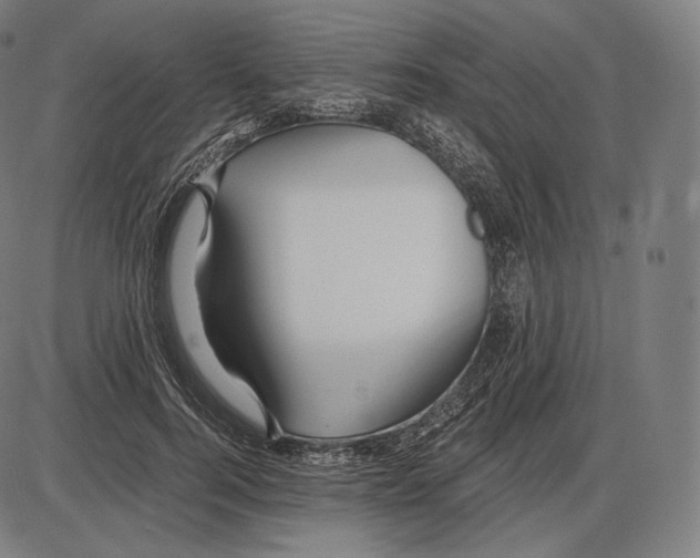 X0000084010744200703161713