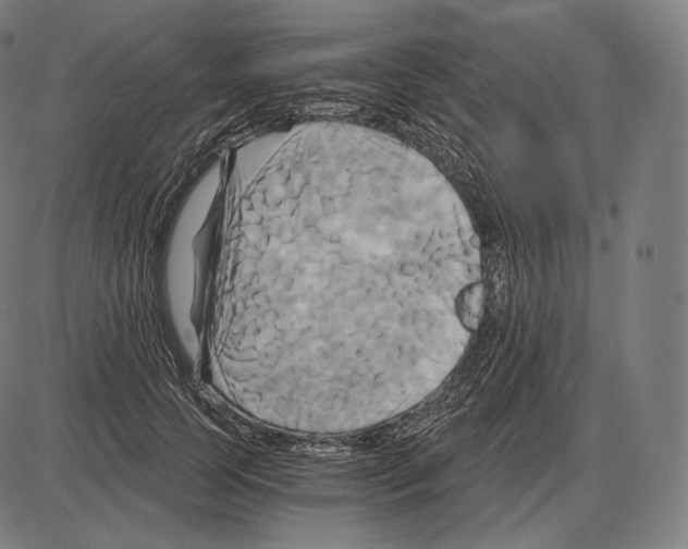 X0000084010745200703161713