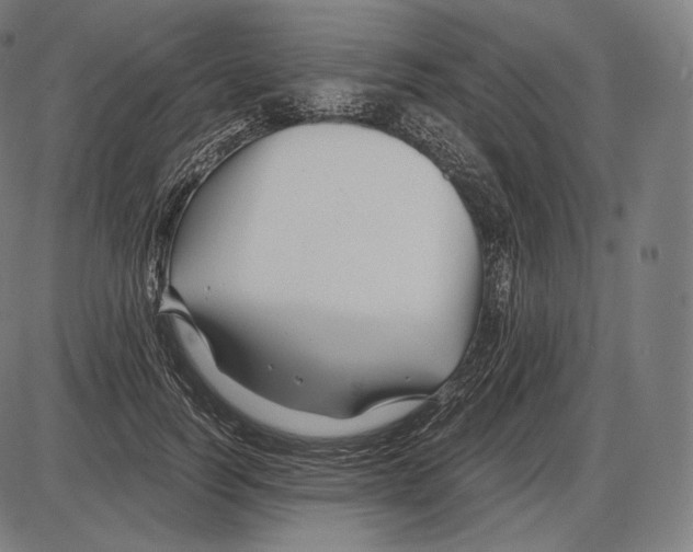 X0000084010746200703161713