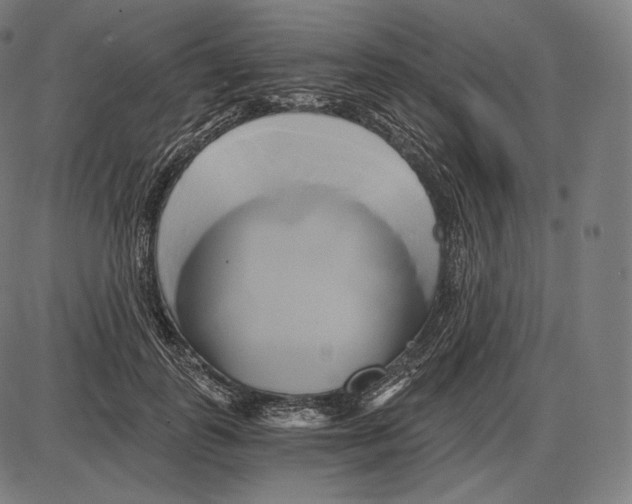 X0000084010747200703161713