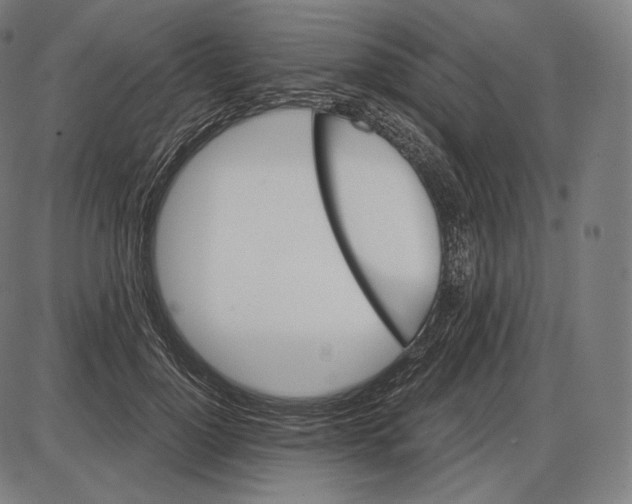 X0000084010748200703161713