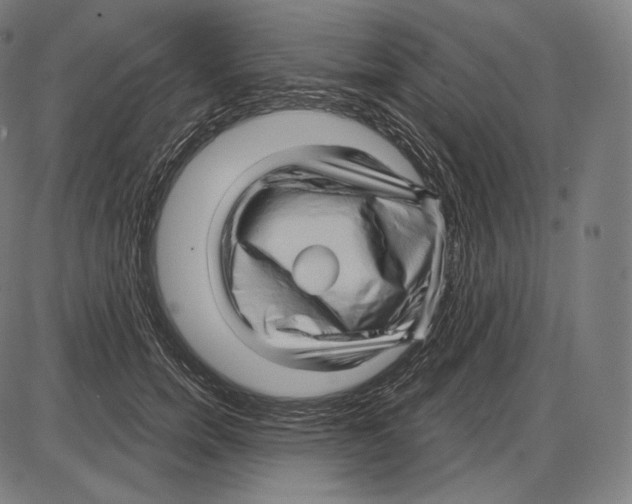 X0000084010750200703161713