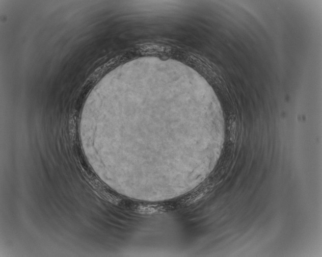 X0000084010753200703161713