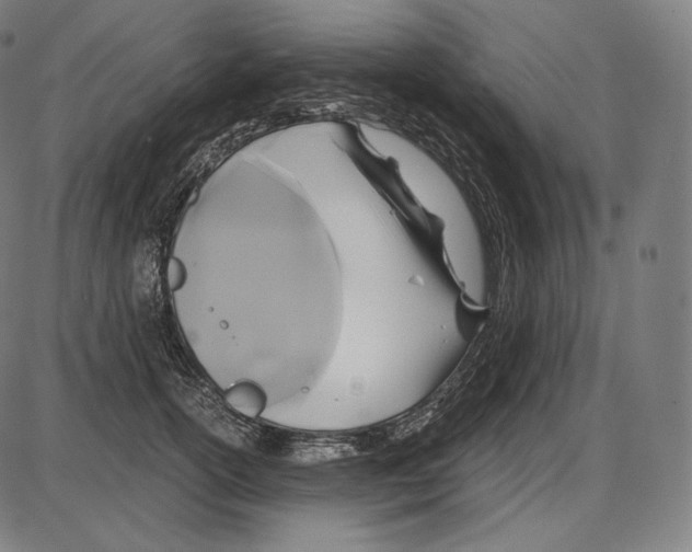 X0000084010754200703161713