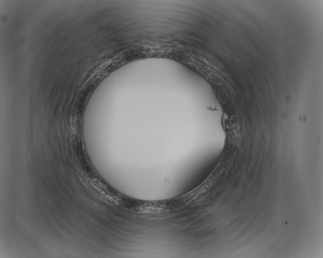 X0000084010756200703161713