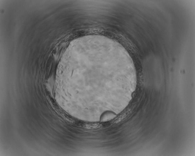 X0000084010757200703161713