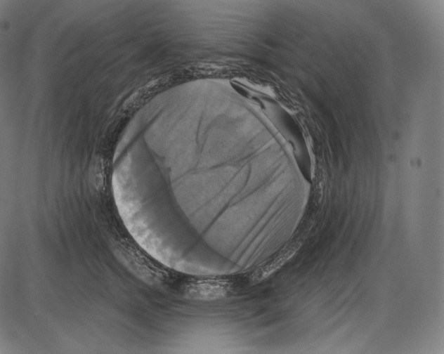 X0000084010758200703161713