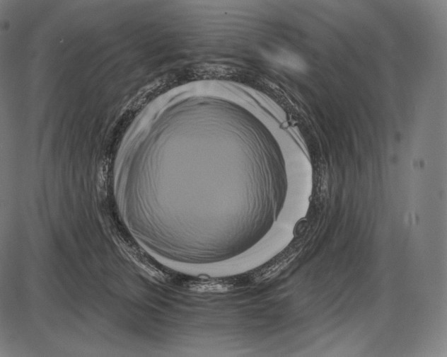 X0000084010759200703161713