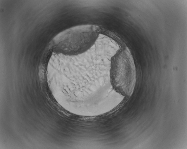 X0000084010761200703161713