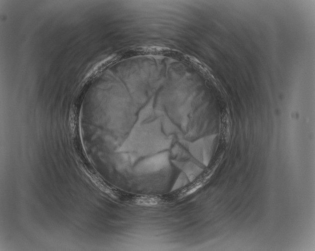 X0000084010762200703161713