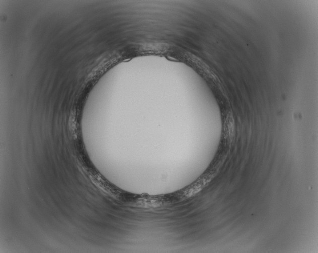 X0000084010764200703161714