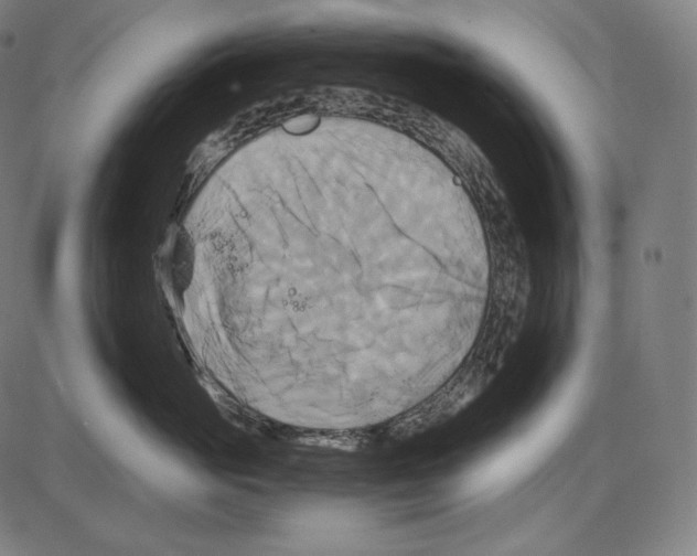 X0000084010765200703161714