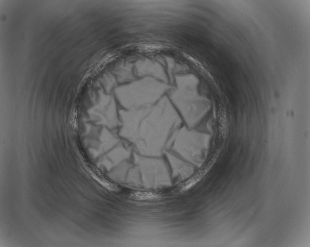 X0000084010766200703161714