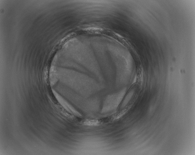 X0000084010767200703161714