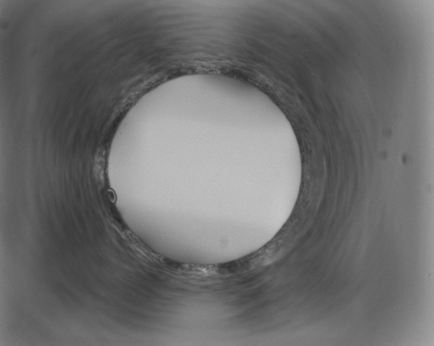 X0000084010768200703161714