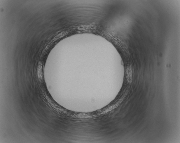 X0000084010770200703161713