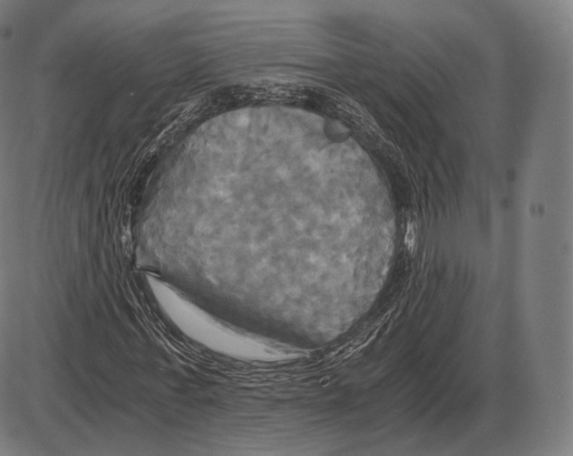 X0000084010771200703161713