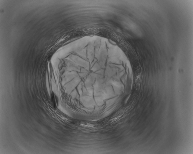 X0000084010772200703161713