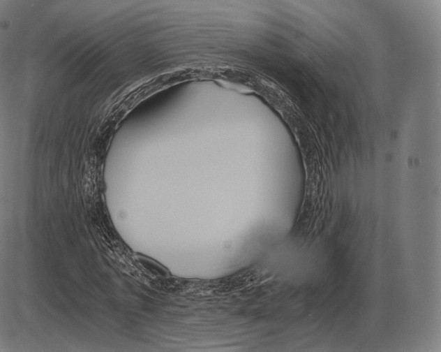 X0000084010773200703161713