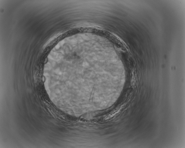 X0000084010775200703161713