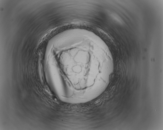 X0000084010776200703161713