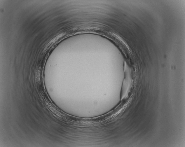 X0000084010777200703161713