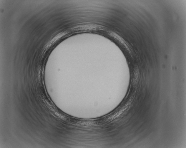 X0000084010778200703161713