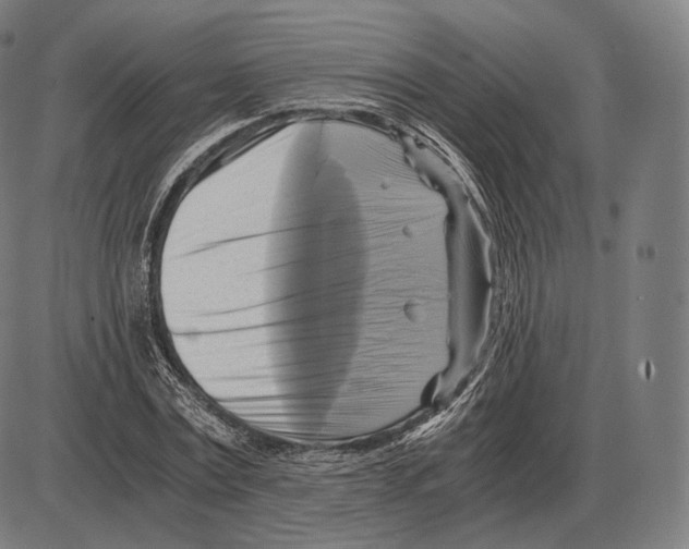 X0000084010779200703161713