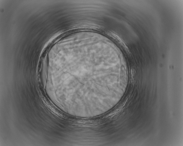 X0000084010780200703161713