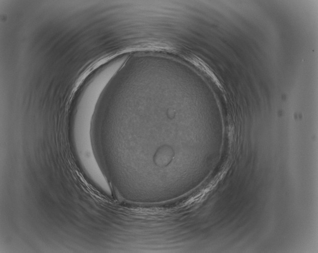 X0000084010781200703161713