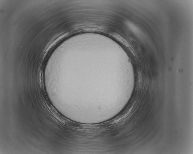 X0000084010782200703161713