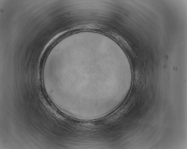 X0000084010784200703161713