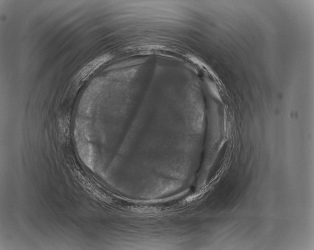 X0000084010785200703161713