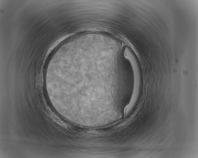 X0000084010787200703161712