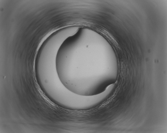 X0000084010788200703161712