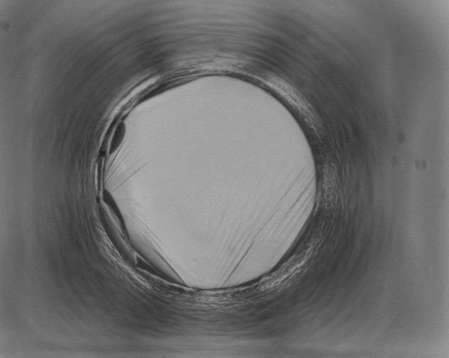 X0000084010790200703161712