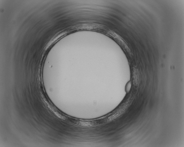 X0000084010794200703161712