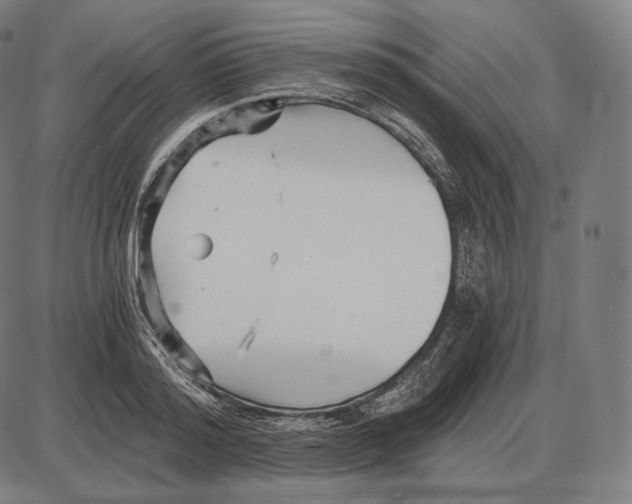 X0000084010796200703161712