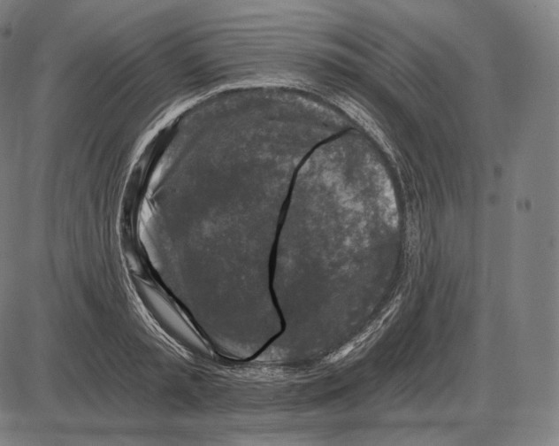 X0000084010797200703161712