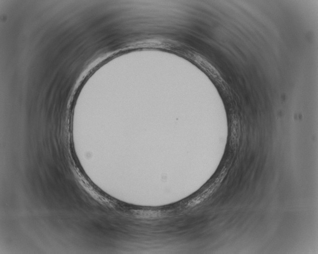 X0000084010800200703161712