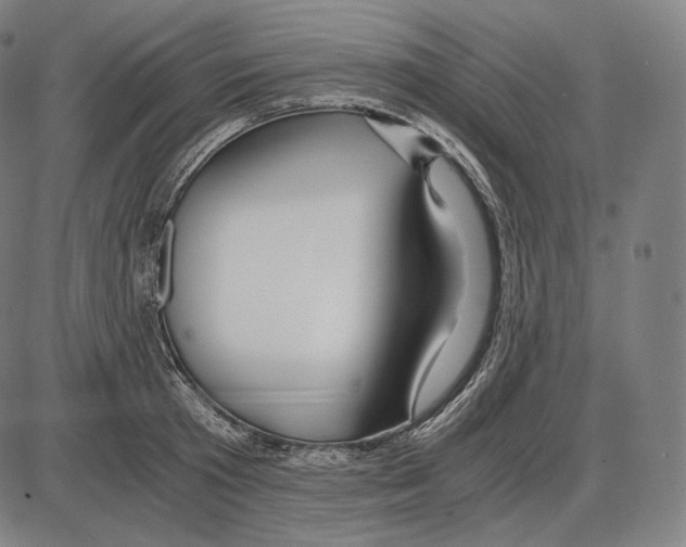 X0000084010801200703161712