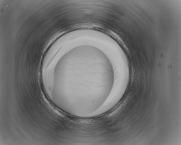 X0000084010802200703161712