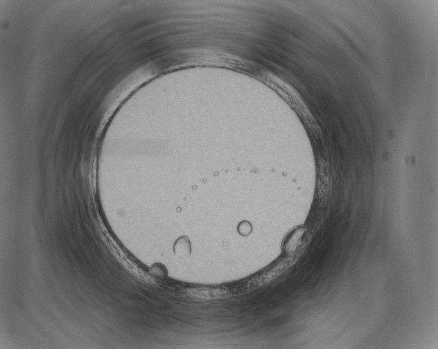 X0000084010804200703161712