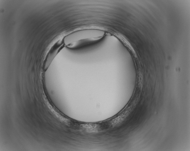 X0000084010805200703161712