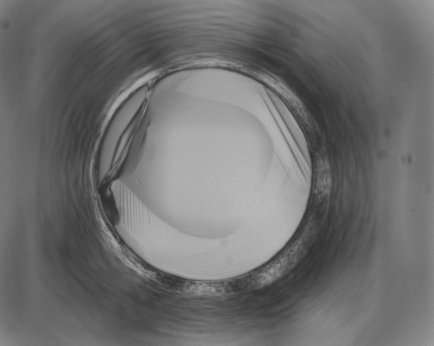 X0000084010806200703161712