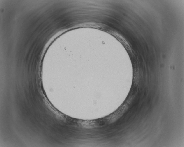 X0000084010808200703161712