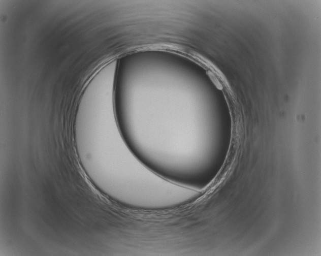 X0000084010809200703161712